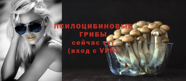 спиды Алексин
