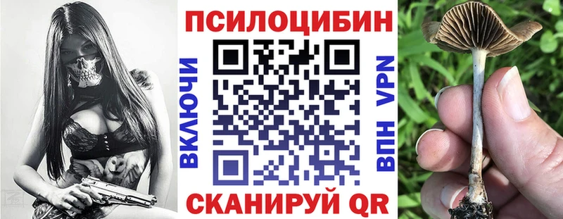 Галлюциногенные грибы мухоморы  дарнет шоп  Менделеевск 